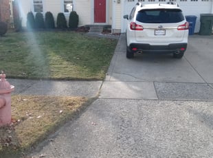Leaf Removal by Andre Little for Luwam O. in Westerville, OH