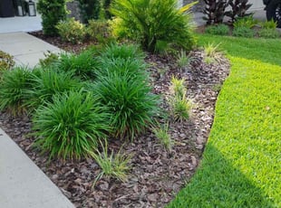 Weeding by Yon Helton for Bethany D. in Ponte Vedra Beach, FL