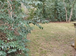 Cleanups by Michael Cherry for ESaliem . in Charlotte, NC