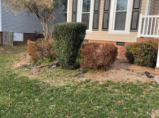 Bush Trimming by Isaiah Miller for Anthony C. in GREENSBORO, NC