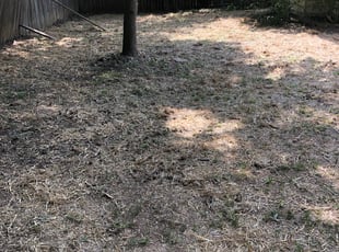 Landscaping by Jon Jarrell for Houston F. in Alpharetta, GA