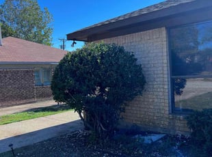 Bush Trimming by Guillermo Chow for Jake F. in Euless, TX