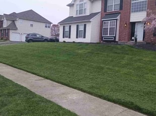 Abbas R.'s Lawn Care service result