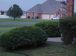 Bush Trimming by Timothy Steward for Hai B. in Edmond, OK