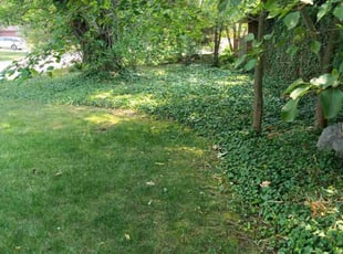Cleanups by Bret Ginter for Heather M. in Dayton, OH