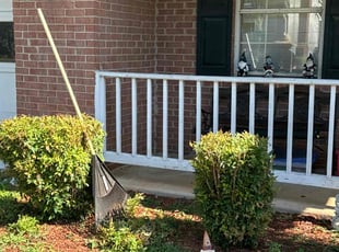 Bush Trimming by Kody Brown for Mary S. in Woodbridge, VA