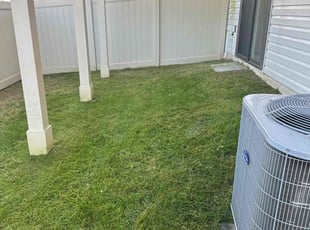 Malique B.'s Lawn Mowing service result