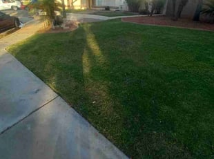 Robia G.'s Yard Cutting service result
