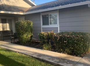 Bush Trimming by Jonathan Allen for Lawrence G. in Citrus Heights, CA