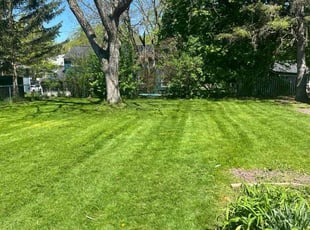 Terry L.'s Lawn Care service result