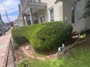 Kathy B.'s Bush Trimming service result