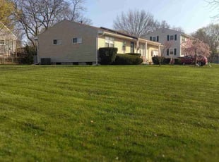 Shaqueda B.'s Lawn Mowing service result