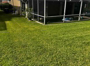 Wesley K.'s Grass Cutting service result