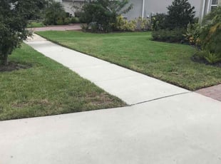 ADAM F.'s Lawn Mowing Service service result