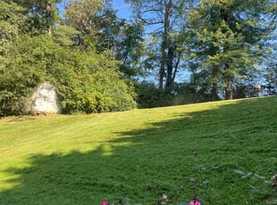 Brad L.'s Grass Cutting service result