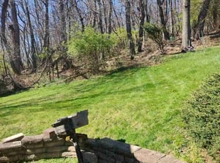 Teresa C.'s Lawn Mowing Service service result