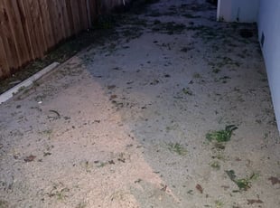 Weeding by Eric Alcaraz for Menesha S. in Sacramento, CA