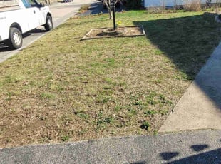 Cleanups by Derek Morgan for Annelise . in Providence, RI
