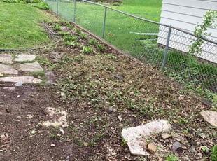 Cleanups by Frank Oliver for Melanie R. in Minneapolis, MN