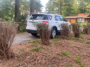 Bush Trimming by Reginald Jones for Andrew L. in South Chesterfield, VA
