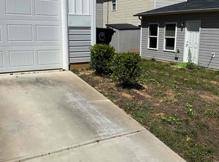 Bush Trimming by Beau Pais for Logan N. in Greensboro, NC