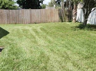 Kristin K.'s Yard Cutting service result