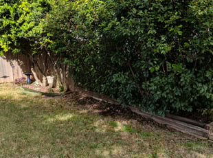 Weeding by Jennifer Querrey for Holly R. in Round Rock, TX