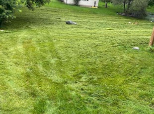 Sharon R.'s Lawn Mowing service result