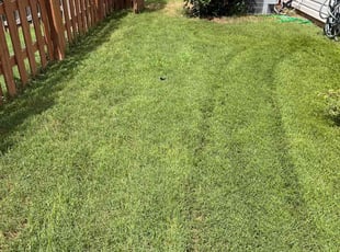 Marty L.'s Lawn Mowing Service service result