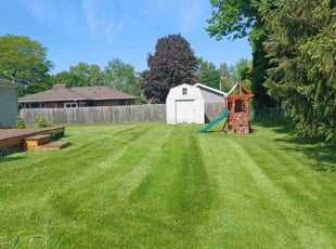 Reagan M.'s Lawn Service service result