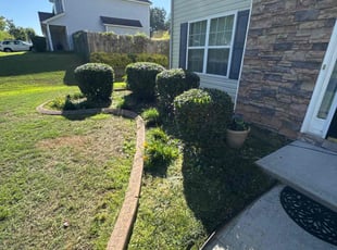 Bush Trimming by William Perez for Kevin J. in Snellville, GA