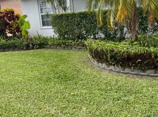 Bush Trimming by Kenneth Swayne Jr for Brian W. in Miami, FL