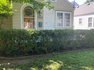 Bush Trimming by Darin Buterakos for Amy G. in Wichita, KS