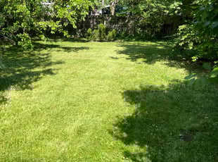 Michael N.'s Grass Cutting service result