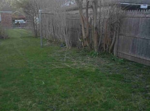 Bush Trimming by Christopher Wade for Alberta P. in Detroit, MI