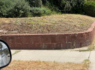 Bush Trimming by Carlos Romero for Noelani D. in Los Angeles, CA