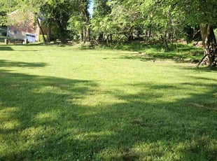 David R.'s Lawn Mowing Service service result