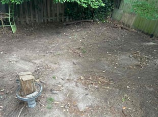 Leaf Removal by Theodore Weir for Wendy E. in Virginia Beach, VA