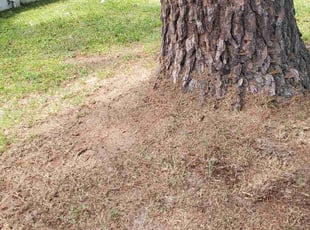 Cleanups by Rohan James for Greg C. in Hopewell, VA
