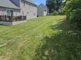 Ken C.'s Lawn Care service result