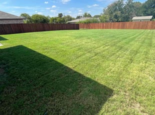 Anthony R.'s Yard Cutting service result