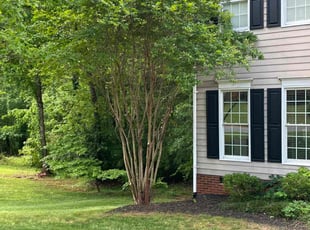 Bush Trimming by Fermin Garcia for Shomari S. in Rock Hill, SC