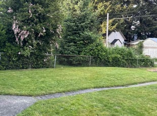 Felicia B.'s Lawn Mowing Service service result