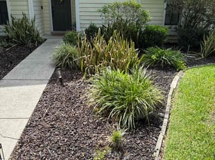 Leaf Removal by Elvis Pintado for CHRISTIAN G. in Tampa, FL