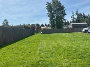 Justy V.'s Lawn Service service result