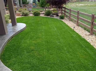Lori B.'s Lawn Care service result