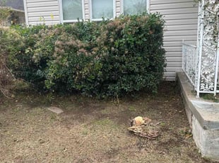 Weeding by Leray Thornton for Amanda H. in Oklahoma City, OK