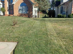 Cleanups by Malcom Parrish for Zeke s. in Chesterfield, MO