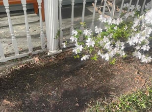 Cleanups by Michael Martin for Carolyn T. in Covington, LA
