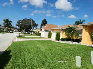 Annesia B.'s Lawn Care service result